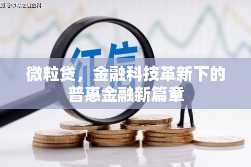 赣榆微粒贷，金融科技革新下的普惠金融新篇章