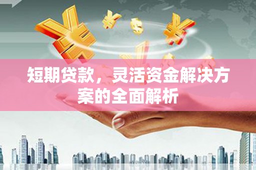 赣榆短期贷款，灵活资金解决方案的全面解析