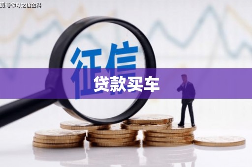 赣榆贷款买车