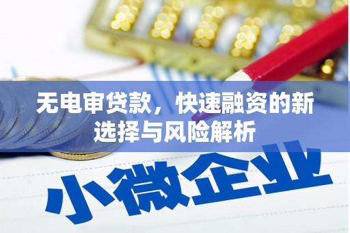赣榆无电审贷款，快速融资的新选择与风险解析