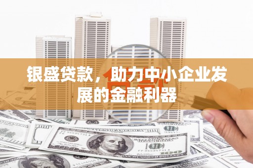 赣榆银盛贷款，助力中小企业发展的金融利器