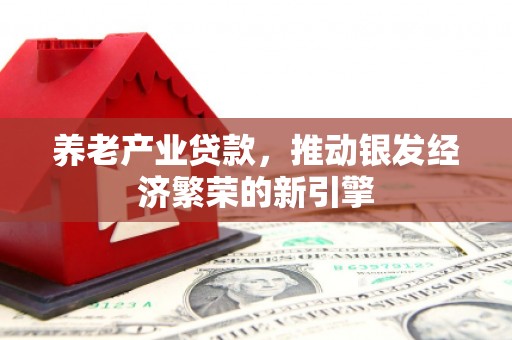 赣榆养老产业贷款，推动银发经济繁荣的新引擎