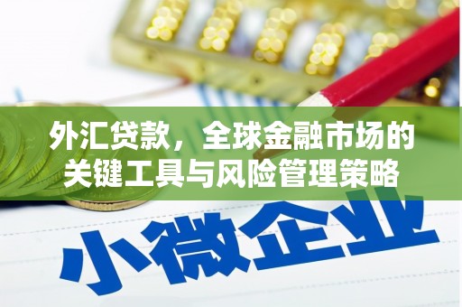 赣榆外汇贷款，全球金融市场的关键工具与风险管理策略