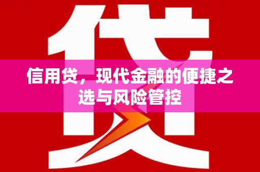 赣榆信用贷，现代金融的便捷之选与风险管控