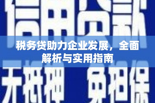 赣榆税务贷助力企业发展，全面解析与实用指南