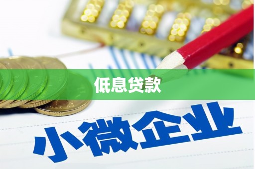 赣榆低息贷款
