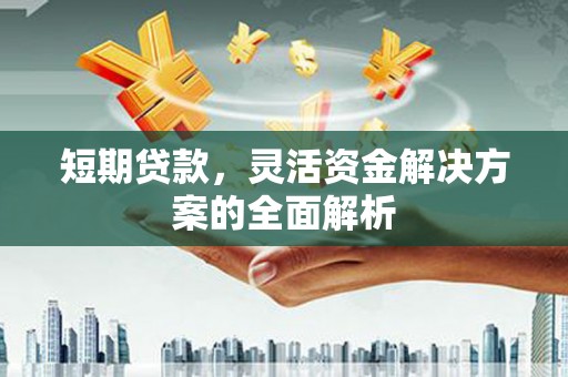 赣榆短期贷款，灵活资金解决方案的全面解析