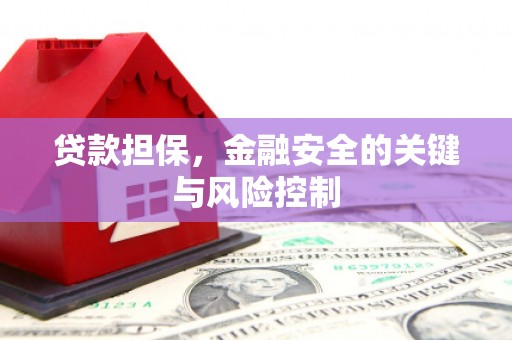 赣榆贷款担保，金融安全的关键与风险控制