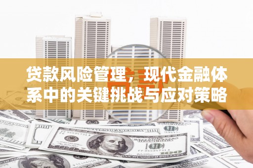 赣榆贷款风险管理，现代金融体系中的关键挑战与应对策略