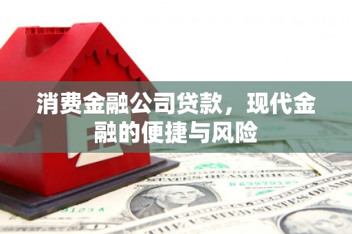 赣榆消费金融公司贷款，现代金融的便捷与风险