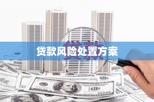 赣榆贷款风险处置方案