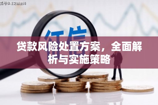 赣榆贷款风险处置方案，全面解析与实施策略