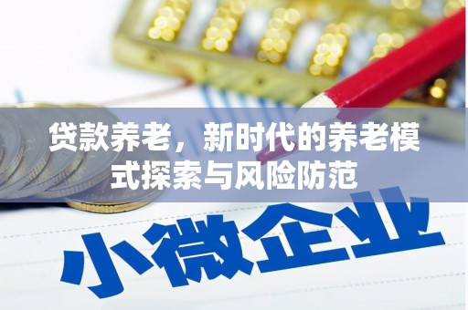 赣榆贷款养老，新时代的养老模式探索与风险防范