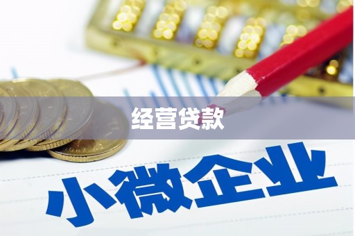 赣榆经营贷款